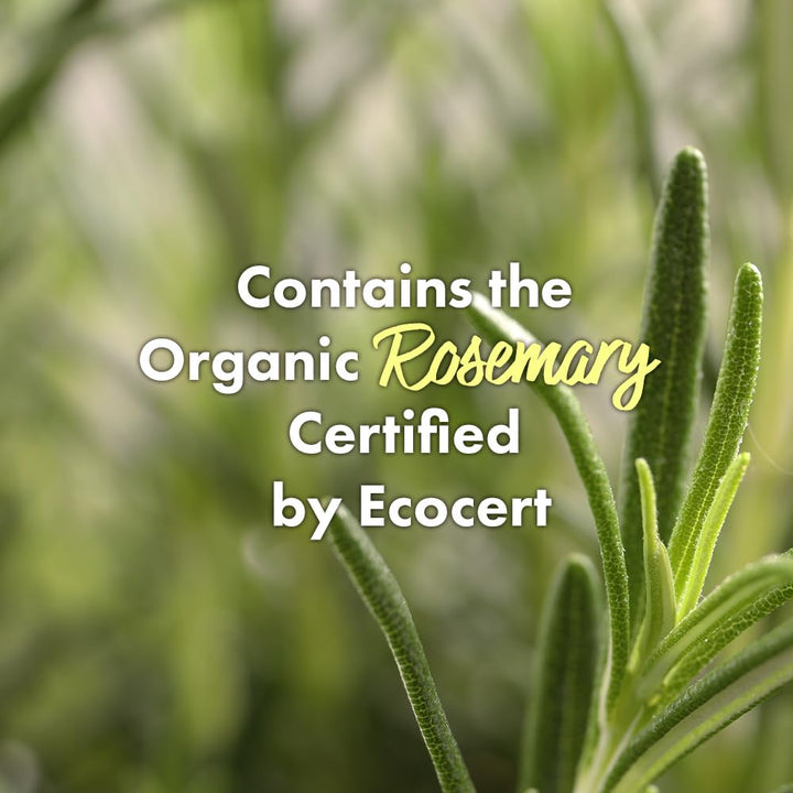 50 ml clarifying rosemary scalp cleanser in a pump bottle, botanical ingredient callouts