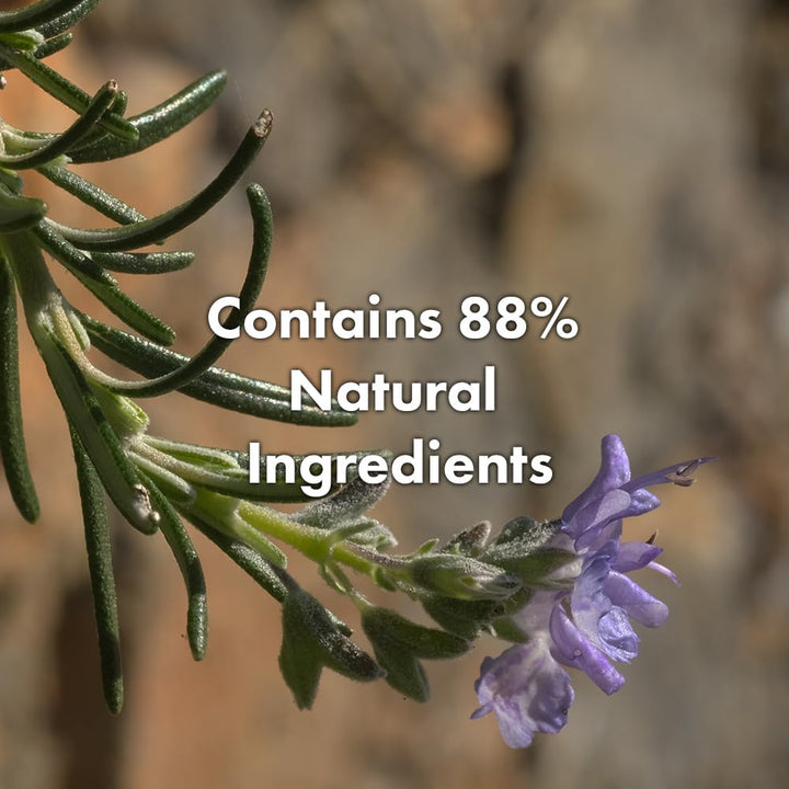 80 ml clear leave-in spray bottle with rosemary and coconut focus, floral fragrance