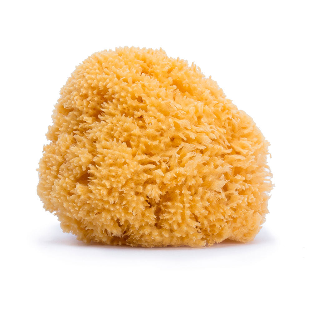 Suavinex Soft yellow natural marine sponge with porous, textured surface and irregular organic shape, handcrafted feel